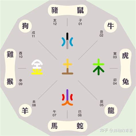 五行代表動物|如何区分动物的五行属性？